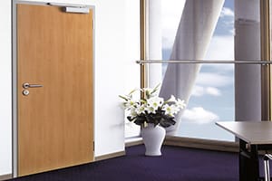 Usi din lemn antifoc